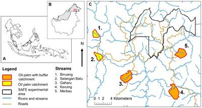 The impacts of within-stream physical structure and riparian buffer strips on semi-aquatic bugs in Southeast Asian oil palm